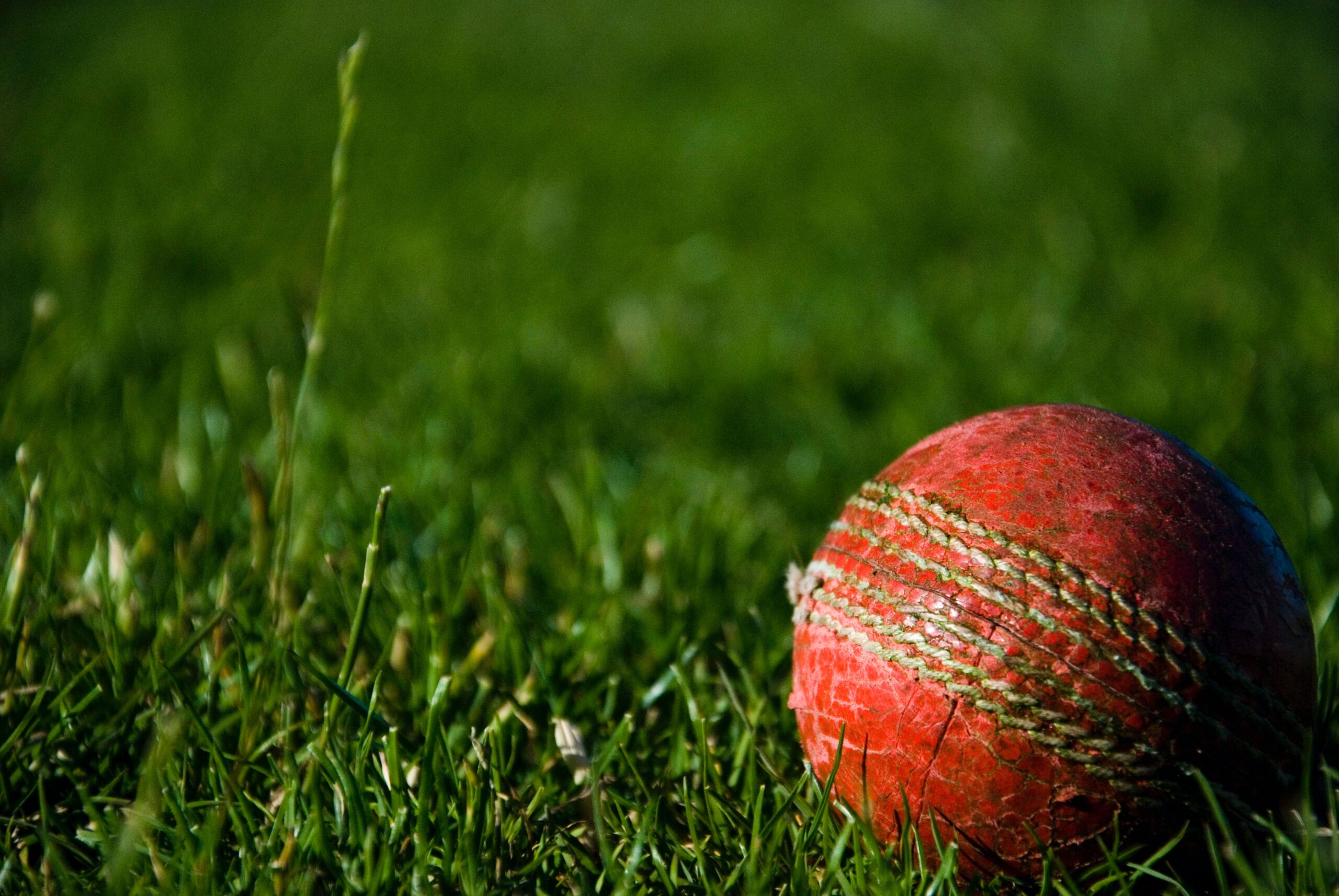 Cricket Ball in the Grass