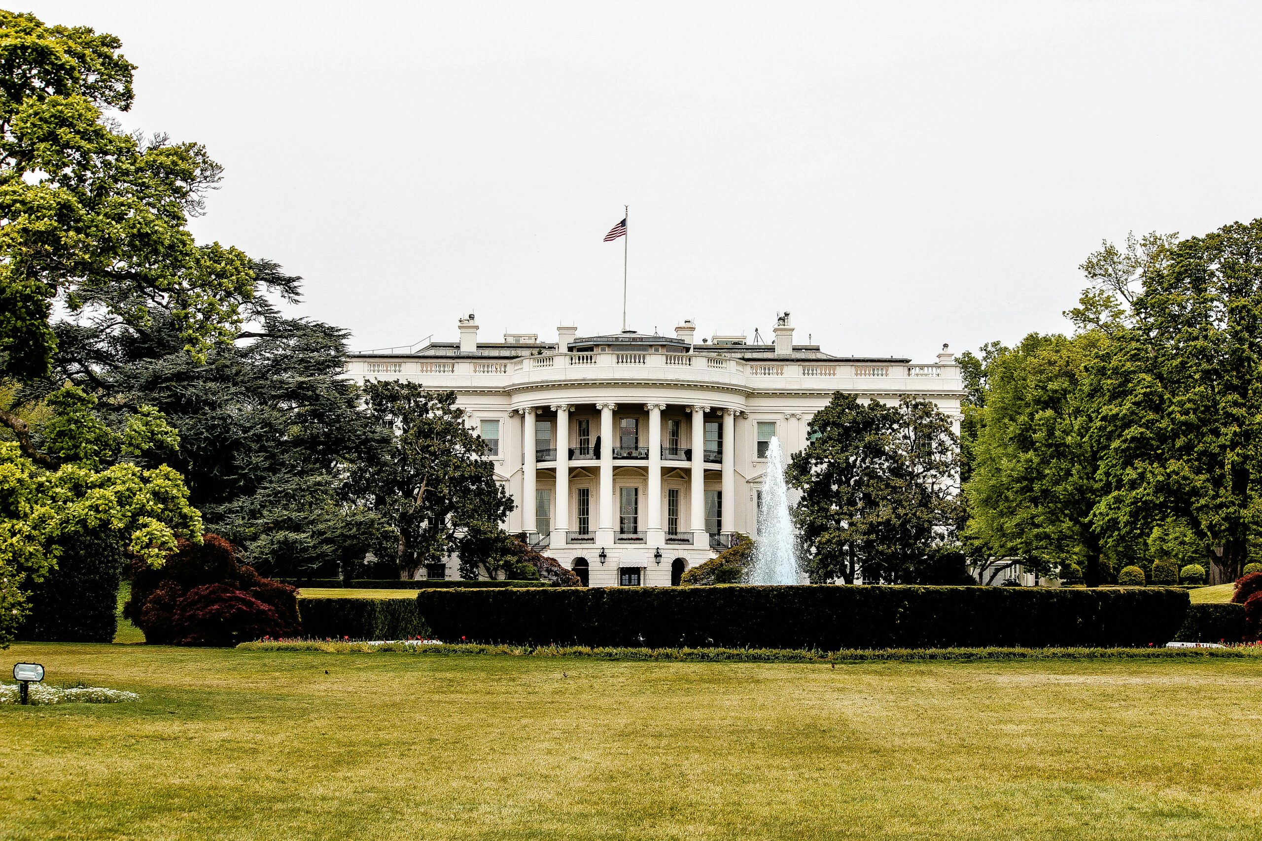 the white house