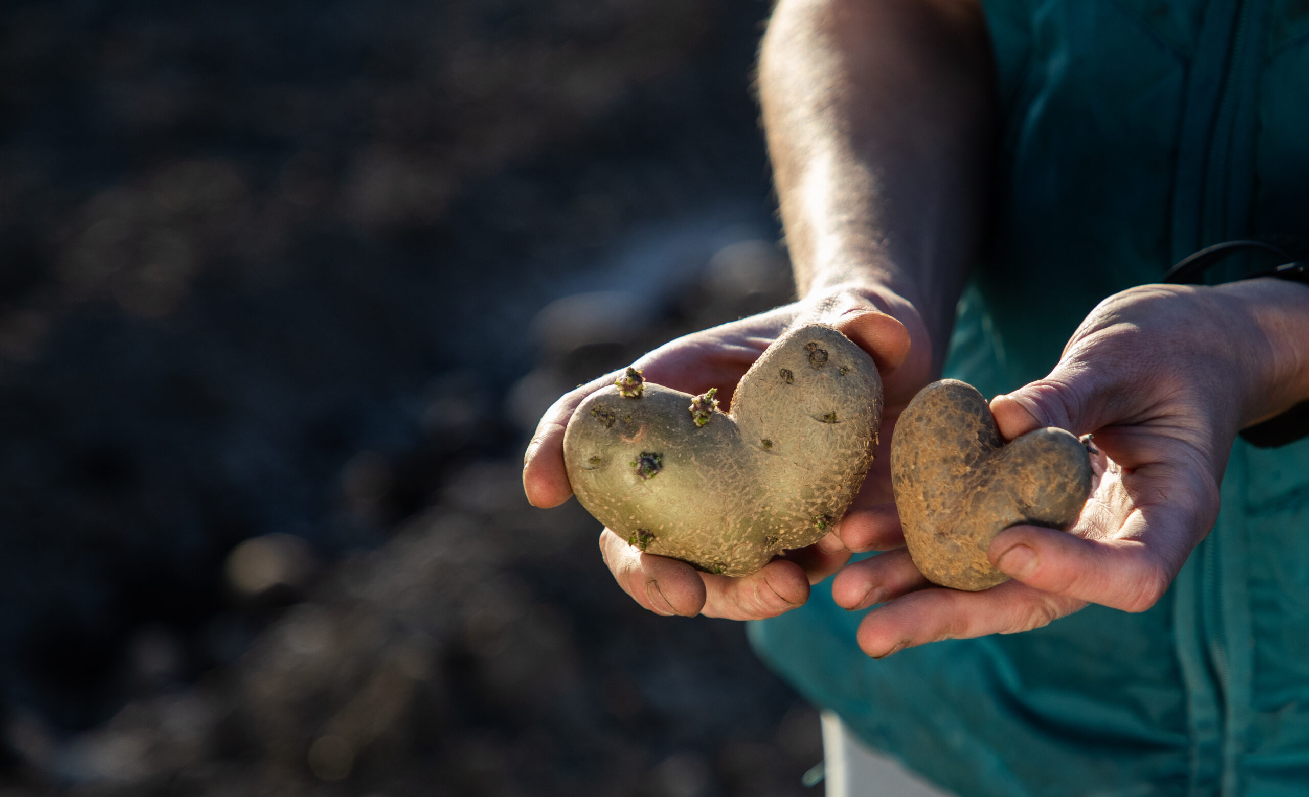 Potato Dishes