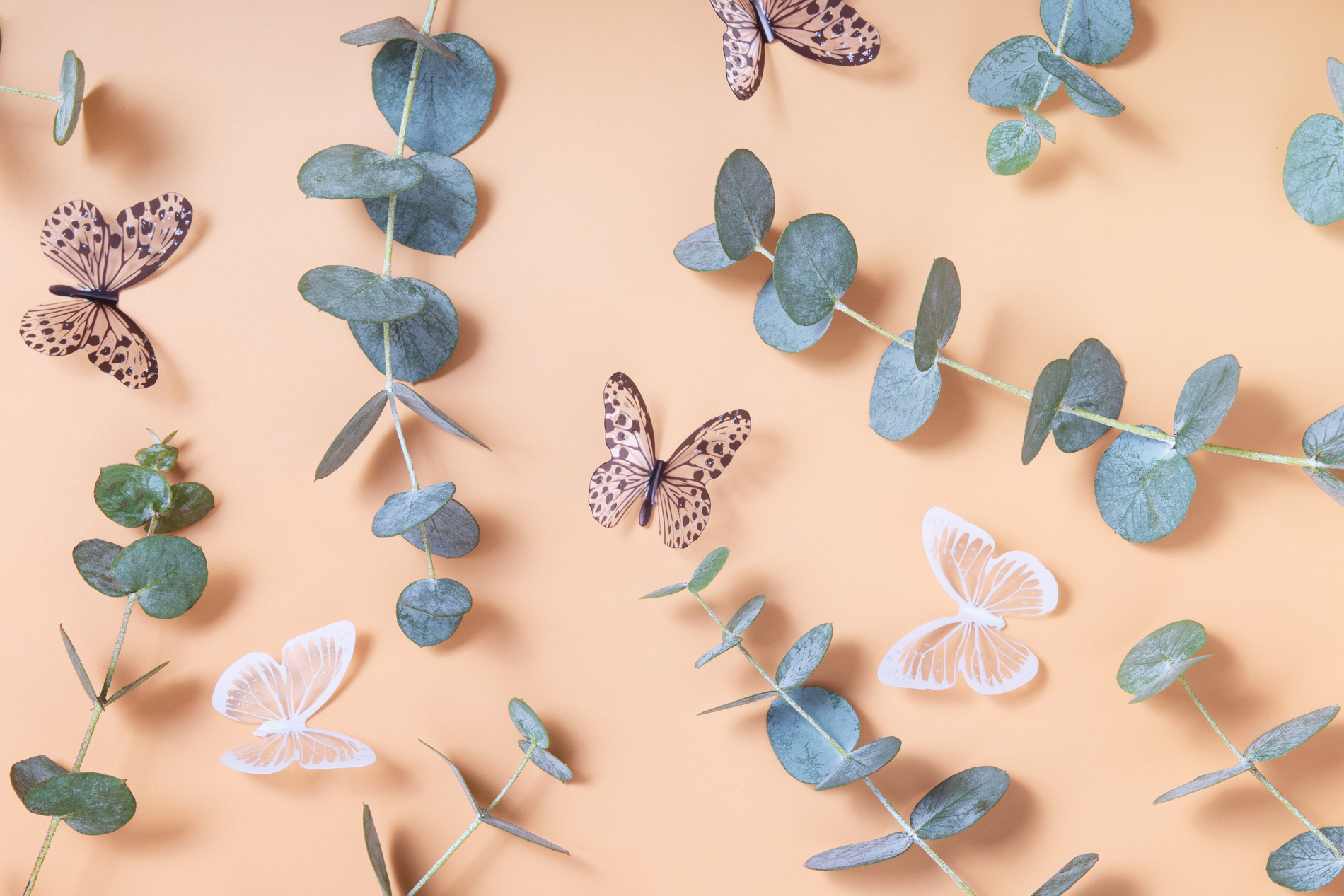 Butterfly walls for nursery