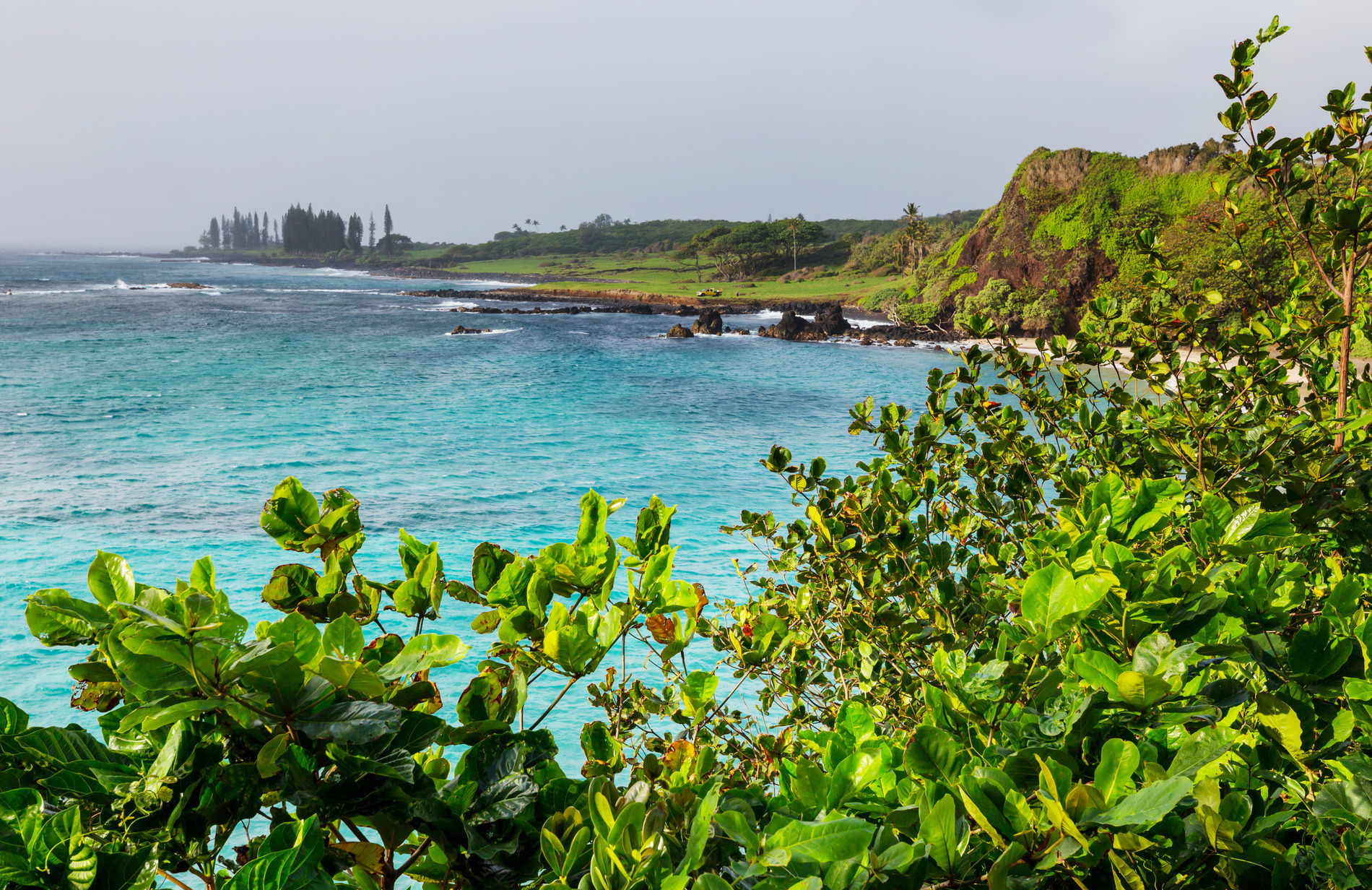 Maui