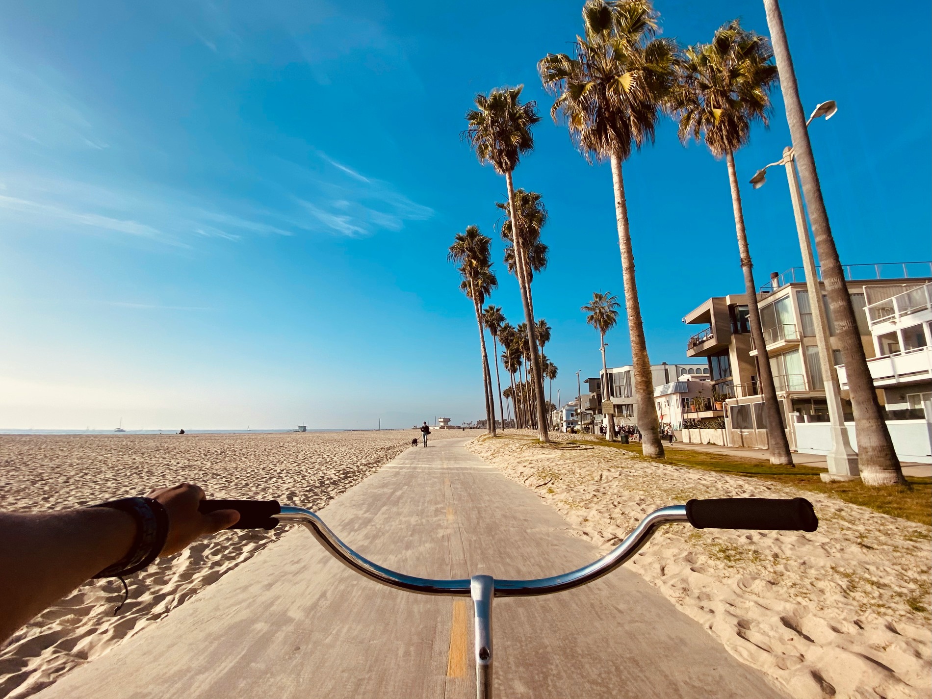 Venice Beach Boardwalk