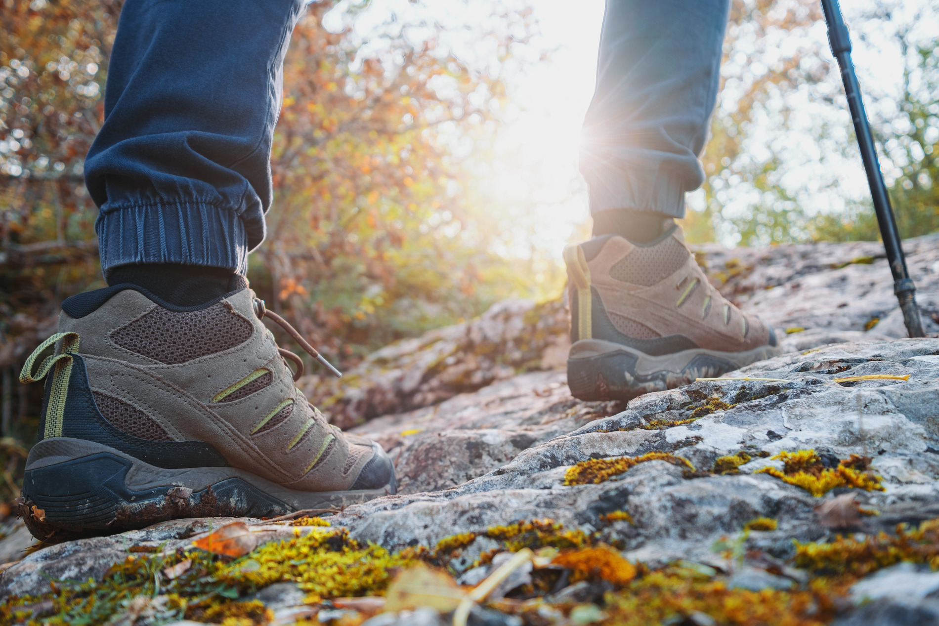 Hiking shoes