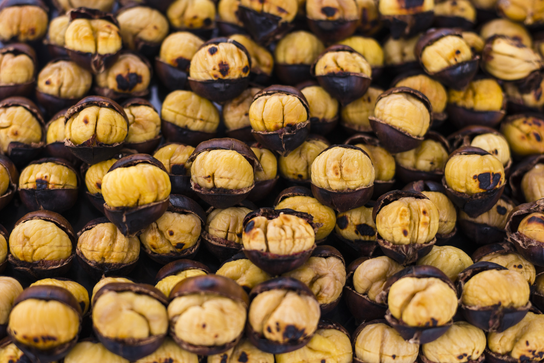 Chestnuts (Roasted or Dried)