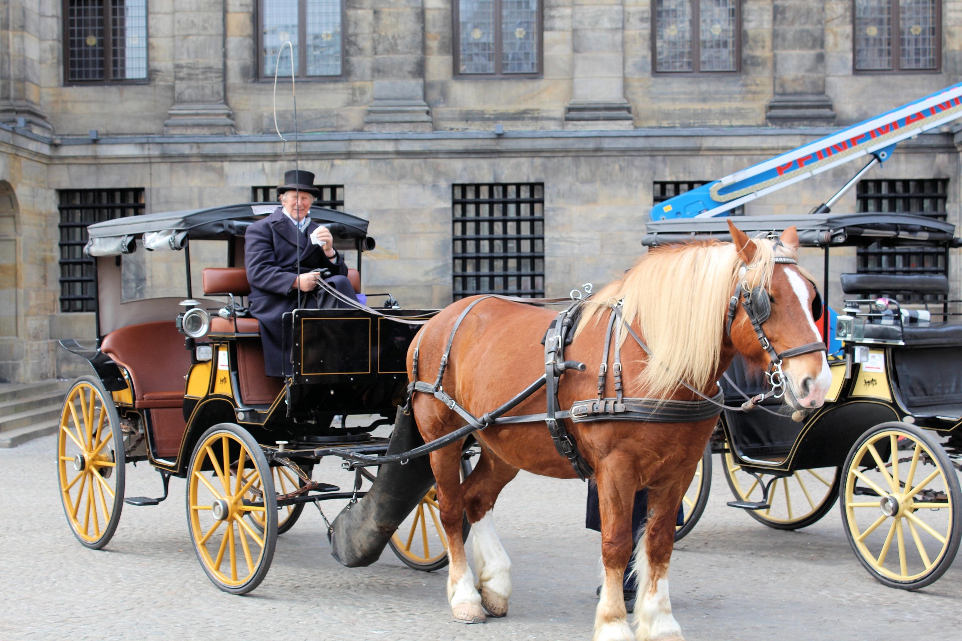 Horse-Drawn Carriage