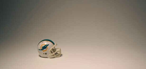 Dolphins NFL