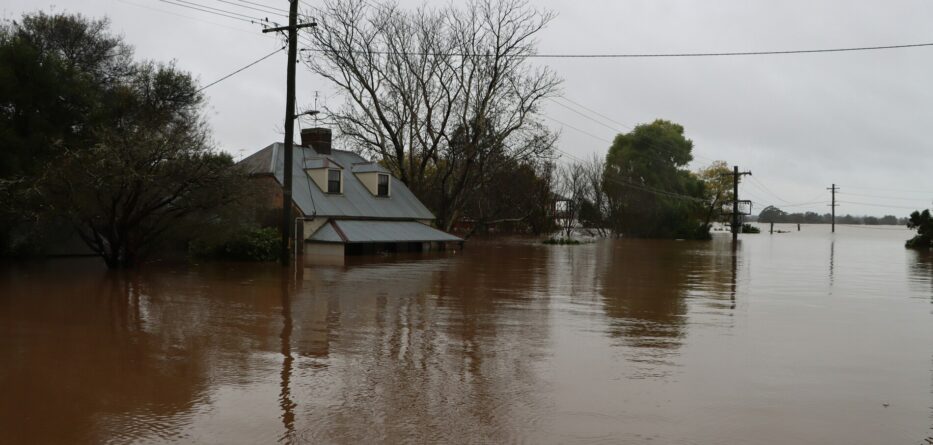 Flood