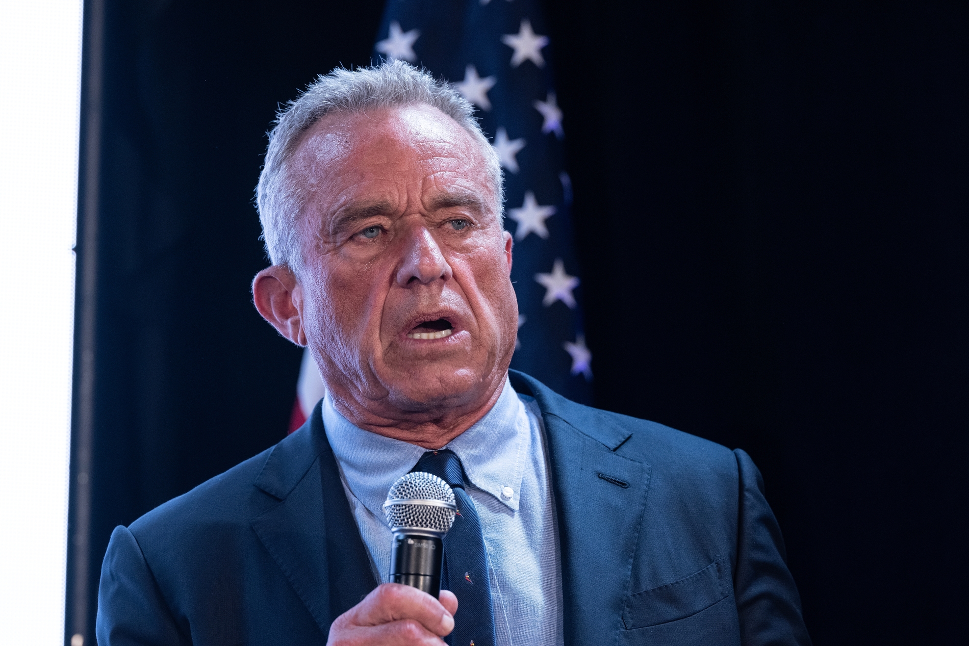 robert f. kennedy jr.
