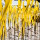 Yellow Ribbons and Scissors in Muswell Hill – A Morning that Left Me Angry, Sad, and Afraid
