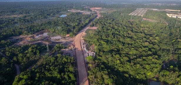 Global Outcry After 100,000 Amazon Trees Cut for Climate Summit