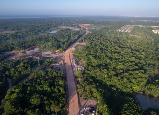Global Outcry After 100,000 Amazon Trees Cut for Climate Summit
