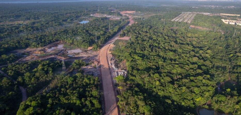 Global Outcry After 100,000 Amazon Trees Cut for Climate Summit