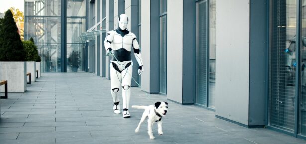 Meet the Robot Designed to Entertain Your Pets All Day Long