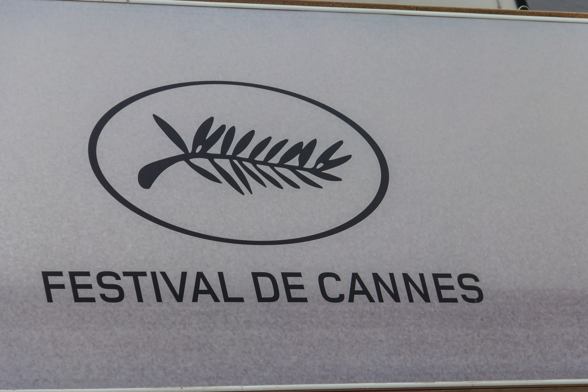 Cannes Film Festival