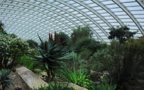 Europe Pushes for the “Rights of Nature”