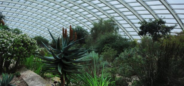 Botanic Garden