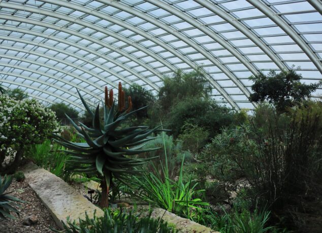 Botanic Garden