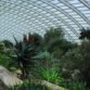 Botanic Garden