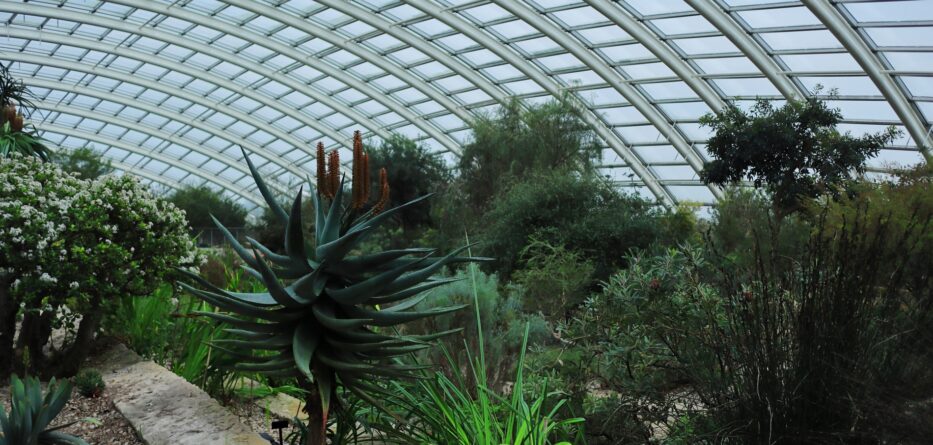 Botanic Garden