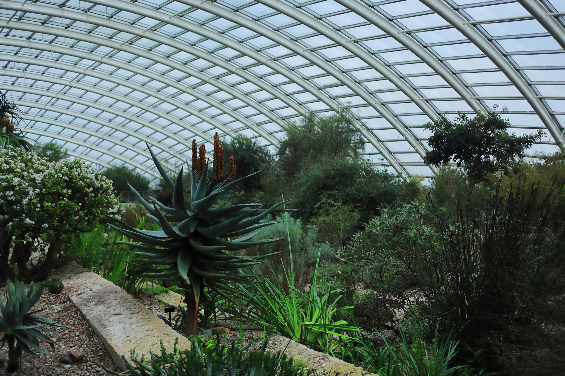 Botanic Garden
