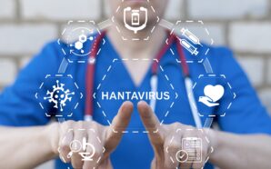 Hantavirus Cruise Ship Outbreak Raises Global Health Concerns