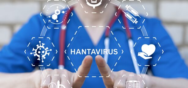 Hantavirus