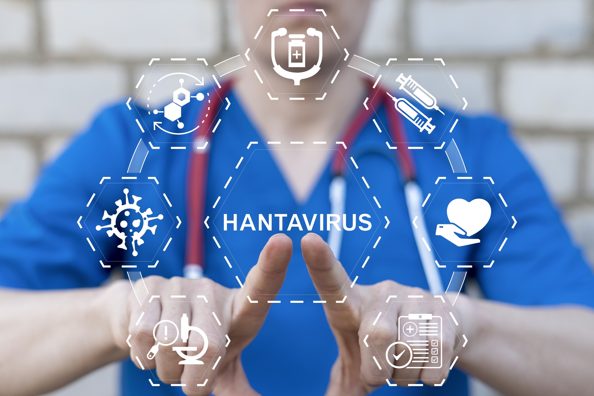 Hantavirus