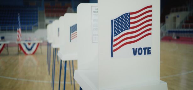 Voting