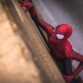 Spider man