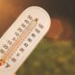 Heat Wave