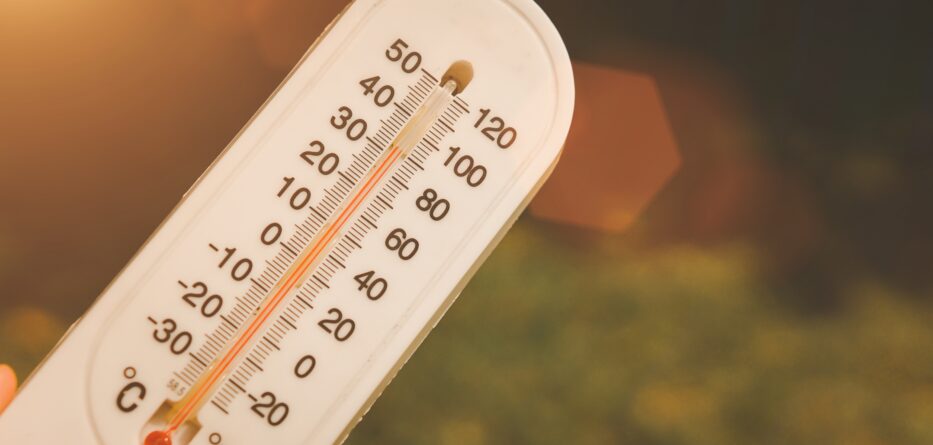 Heat Wave