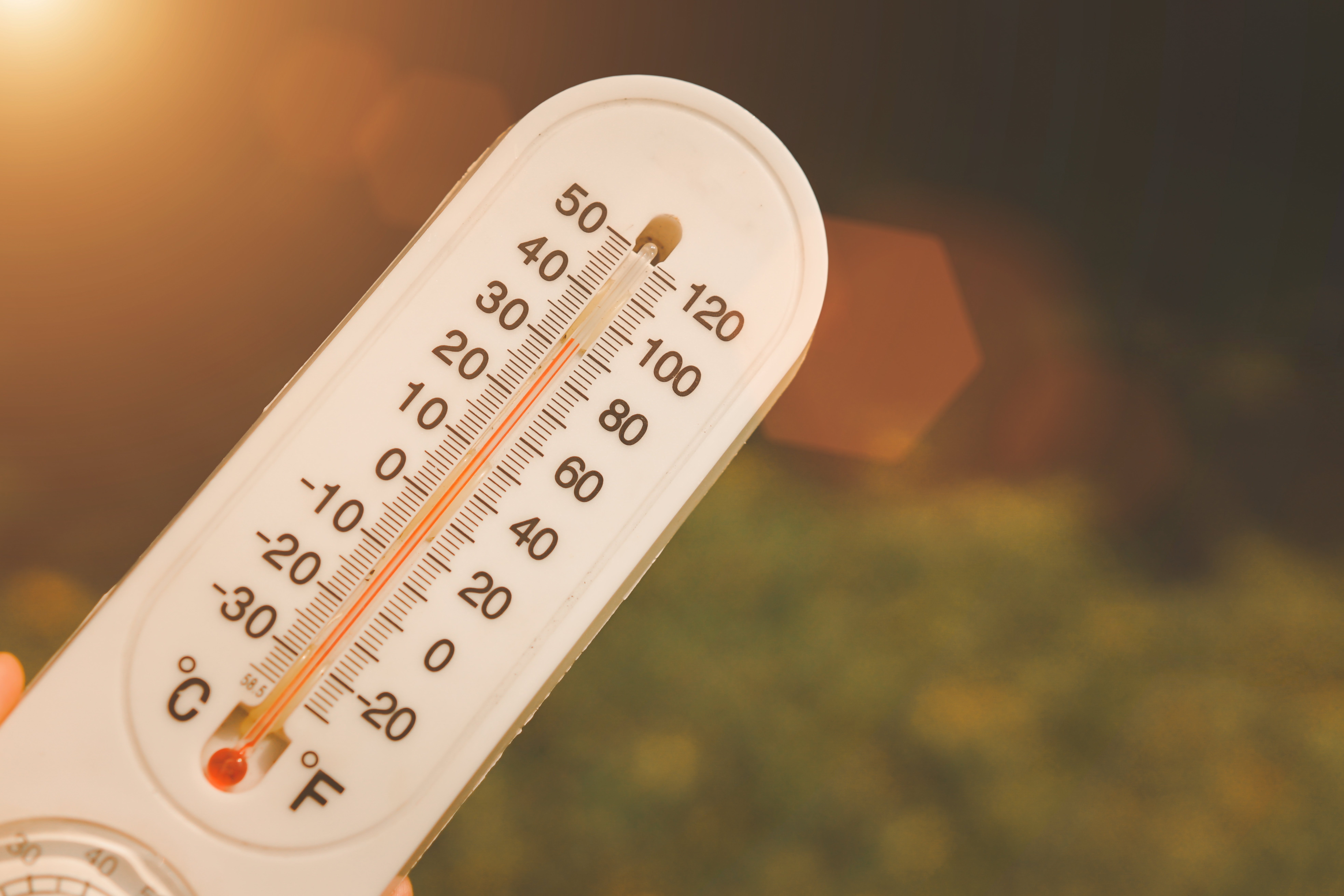 Heat Wave