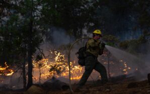 Unprecedented Wildfires and Heatwave Trigger Massive Evacuations in France and…