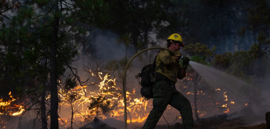 Wildfire