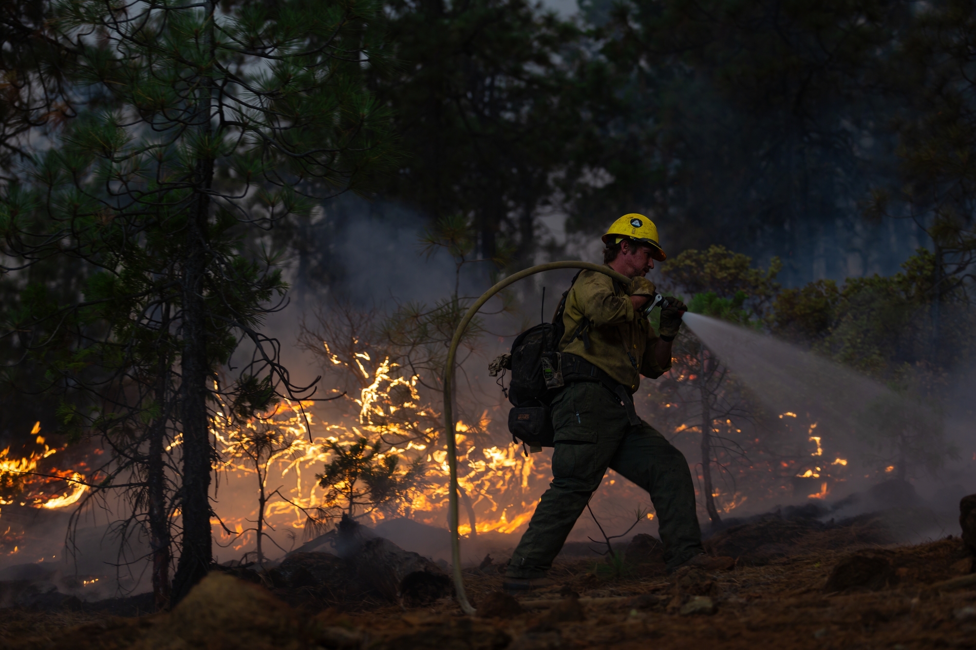 Wildfire