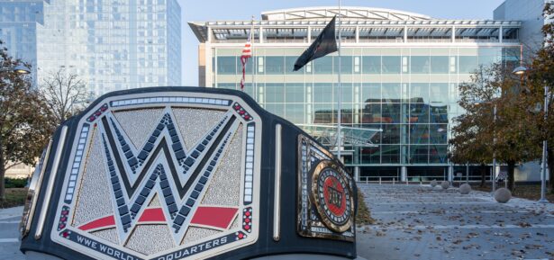 WWE Belt