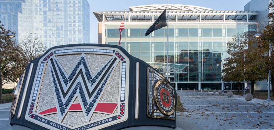 WWE Belt