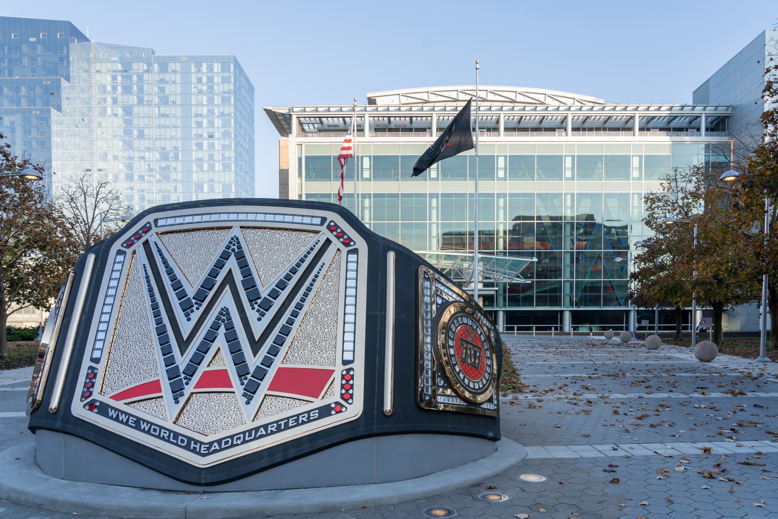 WWE Belt