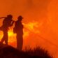 Firefighters