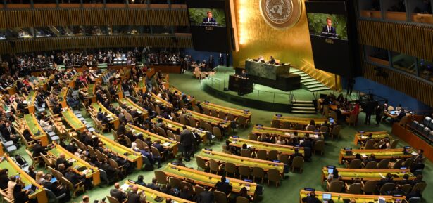 UN Assembly